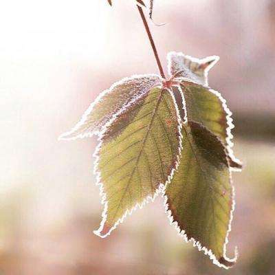 2023澳门资料大全正版app下载